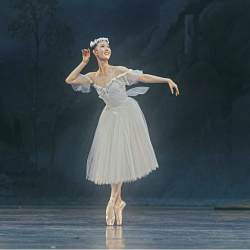 Screenshot 2026-04-14 at 11.45.19 AM